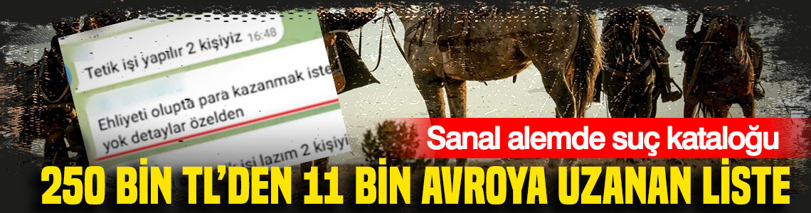 Sanal alemde suç kataloğu: 250 bin TL’den 11 bin avroya uzanan liste