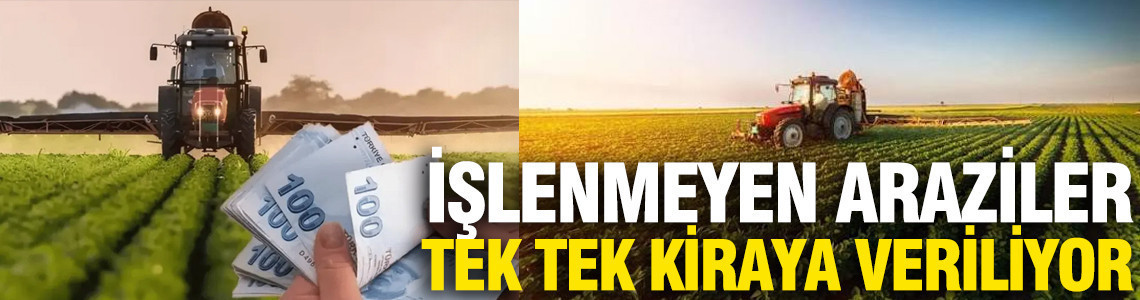 Tekirdağ'da iki yıldır ekilmeyen 288 dekar arazi kiraya verildi