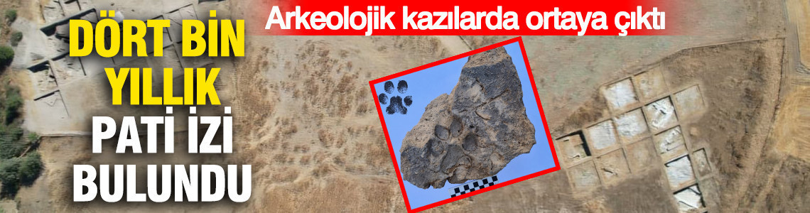 Tavşanlı Höyük'te arkeolojik kazılarda ortaya çıktı: Dört bin yıllık pati izi bulundu