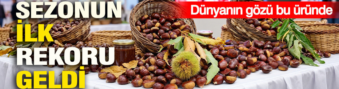 Coğrafi işaret tescilli Aydın kestanesi sembolik olarak kilogramı 600 TL'den satın alındı