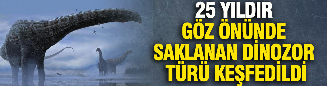 Bilim insanları 25 yıldır göz önünde saklanan yeni bir dinozor türü keşfetti