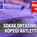 Manisa'da vahşet: Çocukların önünde köpeği katletti
