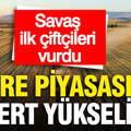 Küresel gübre piyasasında sert yükseliş: Savaş ilk çiftçileri vurdu