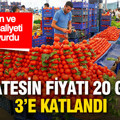 Motorin ve gübre maliyeti pazarı vurdu: Domatesin fiyatı 20 günde üçe katlandı