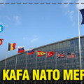 NATO kafa NATO mermer
