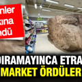 Kaldıramayınca etrafına market ördüler