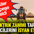 Elektrik zammı tarım üreticilerini isyan ettirdi: Tepkiler peş peşe geldi