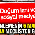 Doğum izni ve sosyal medya: Düzenlemenin 6 maddesi Meclis'ten geçti