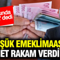 SGK uzmanı Özgür Erdursun en düşük emekli maaşı için rakam verdi: Yıl sonunda bu rakama gelecek