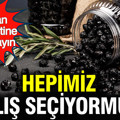 Cam gibi parlayan siyah zeytinler aslında boya içeriyor