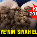 Türkiye’nin 'siyah elması’: Kilosu 20 bin TL