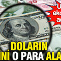 Doların yerini o para alacak: Uzman ekonomist açıkladı