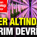 Yer altında tarım devrimi: Dünyanın en derin çiftliği 1.1 km derine kuruluyor