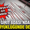 Girit Adası'nda büyük deprem
