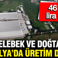 Kelebek Mobilya ve Doğtaş Mobilya'da üretim durdu: 46 bin lira krizi