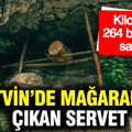 Artvin’de mağaradan çıkan servet: Kilogramı 264 bin TL’ye satılıyor