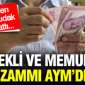 Emekli ve memurun zammı AYM’de: 1,5 milyon TL talep edildi