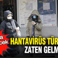 Hantavirüs Türkiye’ye zaten gelmiş: Salgına dönüşecek mi?