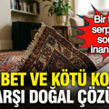 Rutubet ve kötü kokuya karşı doğal çözüm: Bir tutam serpenler sonuca inanamıyor