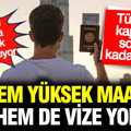 Hem yüksek maaş hem de vize yok: Türklere kapılarını açtılar