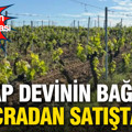 Türkiye’nin köklü şarap markasının bağları icradan satışa çıkarılıyor