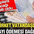 95 şirket vatandaşlara kar payı ödemesi dağıtacak: Hesaplara yatacağı tarih belli oldu
