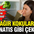 Ağır kokuları mıknatıs gibi çekiyor: Ne karbon filtre ne kimyasal