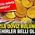 En fazla döviz bulunduran şehirler belli oldu: Bu illerimiz adeta para basıyor