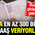 Ayda en az 300 bin TL maaş veriyorlar: Bu ülkeler cennet gibi…