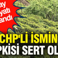Yaş çay alım fiyatı açıklandı: CHP'li ismin tepkisi sert oldu