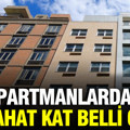 Apartmanlardaki en rahat kat belli oldu