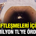 Çiftleşmeleri için 1.8 milyon TL’ye alt geçit ördüler