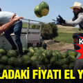 Karpuz hasadı başladı: Tarladaki fiyatı el yaktı