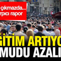 Eğitim artıyor, iş umudu azalıyor: İşte çarpıcı rapor