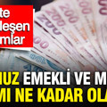 Temmuz emekli ve memur zammı ne kadar olacak? İşte kesinleşen rakamlar