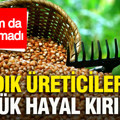 Fındık üreticilerinin büyük hayal kırıklığı: Bayram da çare olmadı