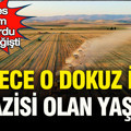 Herkes kapış kapış alıyordu, devir tamamen değişti: Sadece o 9 ilde arazisi olanlar yaşadı