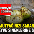 Mutfağınızı saran meyve sineklerine son: 2 malzemeyle doğal çözüm