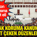 Karbon piyasasına devlet eli: Toprak koruma kanununda dikkat çeken düzenlemeler