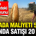 Tarladan fırına fiyat uçurumu: Buğday 5, ekmek 20 TL