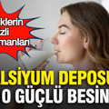 Kemiklerin gizli kahramanları: Kalsiyum deposu 10 güçlü besin