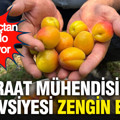 Ziraat mühendisinin tavsiyesi zengin etti: Bir ağaçtan 300 kilo meyve topluyor