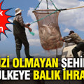 Denizi olmayan şehirden 49 ülkeye balık ihracatı: Günlük tam 100 ton