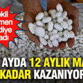 Emekli öğretmen hobi diye başladı: Bir ayda 12 aylık maaşı kadar kazanıyor