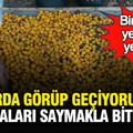 Pazarda görüp geçiyoruz ama faydaları saymakla bitmiyor: Bir avuç yemek yetiyor