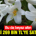 Bu da beyaz altın: Litresi 269 bin TL’ye satılıyor