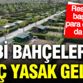 Hobi bahçelerine üç yasak geldi: Para cezası da var