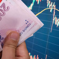 Emeklilerin kapış kapış aldığı hisseler