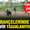Hobi bahçeleri yasağı sonrası yeni kriz: Satış ve devir yasaklanıyor mu?