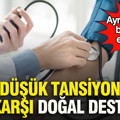 Düşük tansiyona karşı doğal destek: Ayranın içine bir kaşık eklemek yeterli